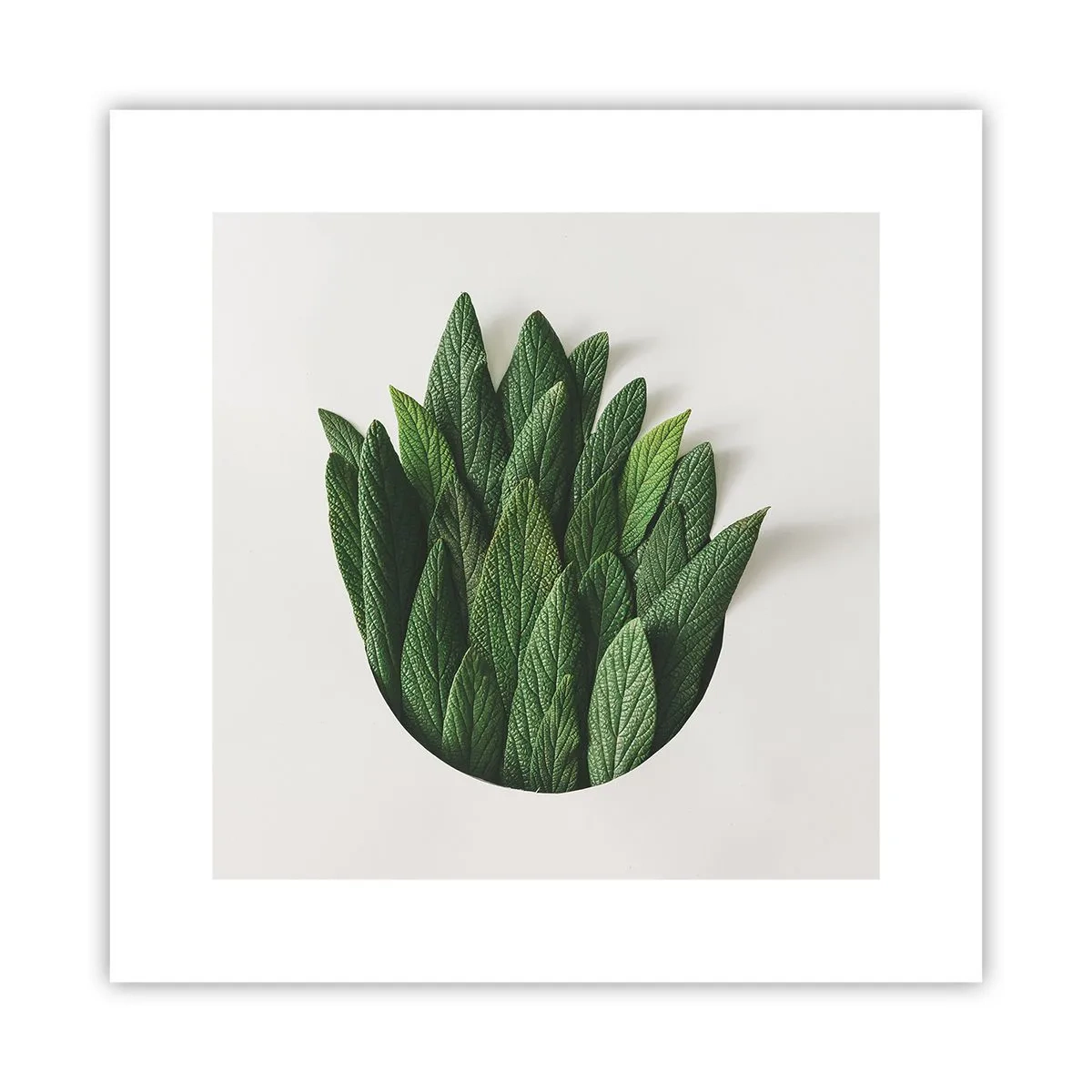 Plakat - Uhæmmet nysgerrighed - 30x30 cm