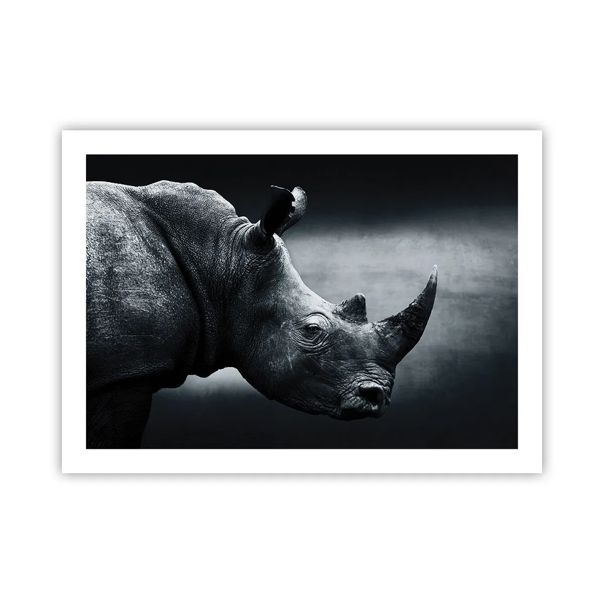 Plakat - Højre profil - 70x50 cm