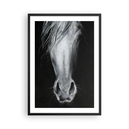 Plakat i sort ramme - Nærbillede af et hesteansigt i sort-hvid - 50x70cm - Forførende blik - Moderne vægdekoration til stue og soveværelse ARTTOR