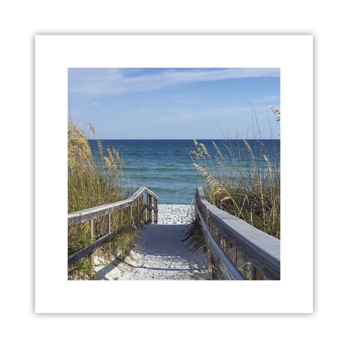 Plakat - I solen, i vinden - 30x30 cm