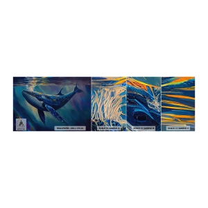 Prøve Fototapet Selvklæbende Deluxe Sticker - Velkommen til min verden - Hval, Ocean, Undervands - 100x30 cm