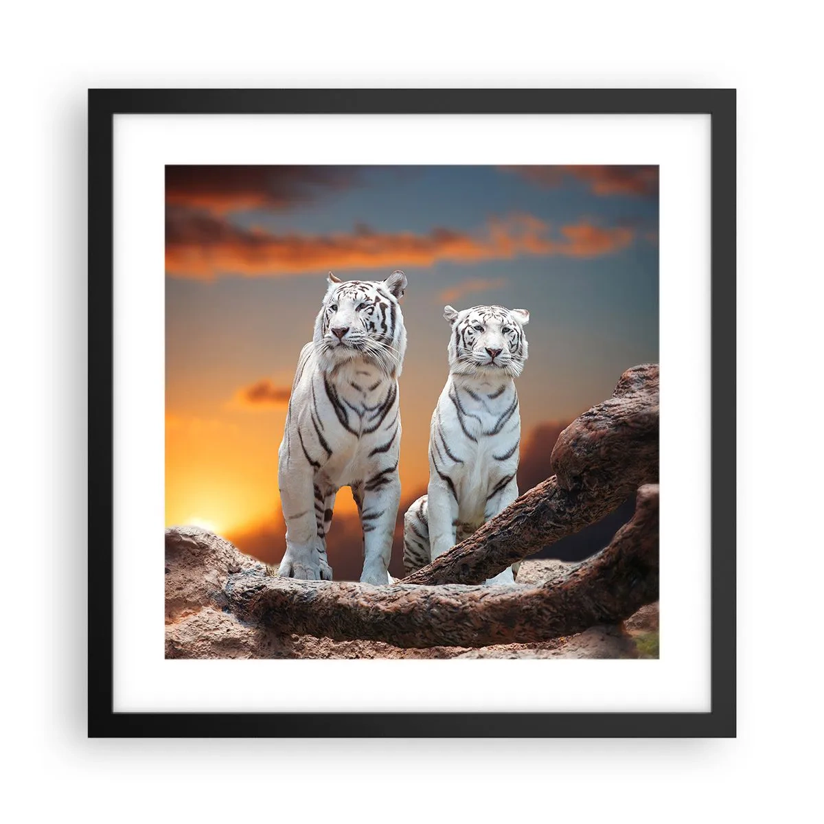 Plakat i sort ramme - Ligesom i Narnia - 40x40 cm