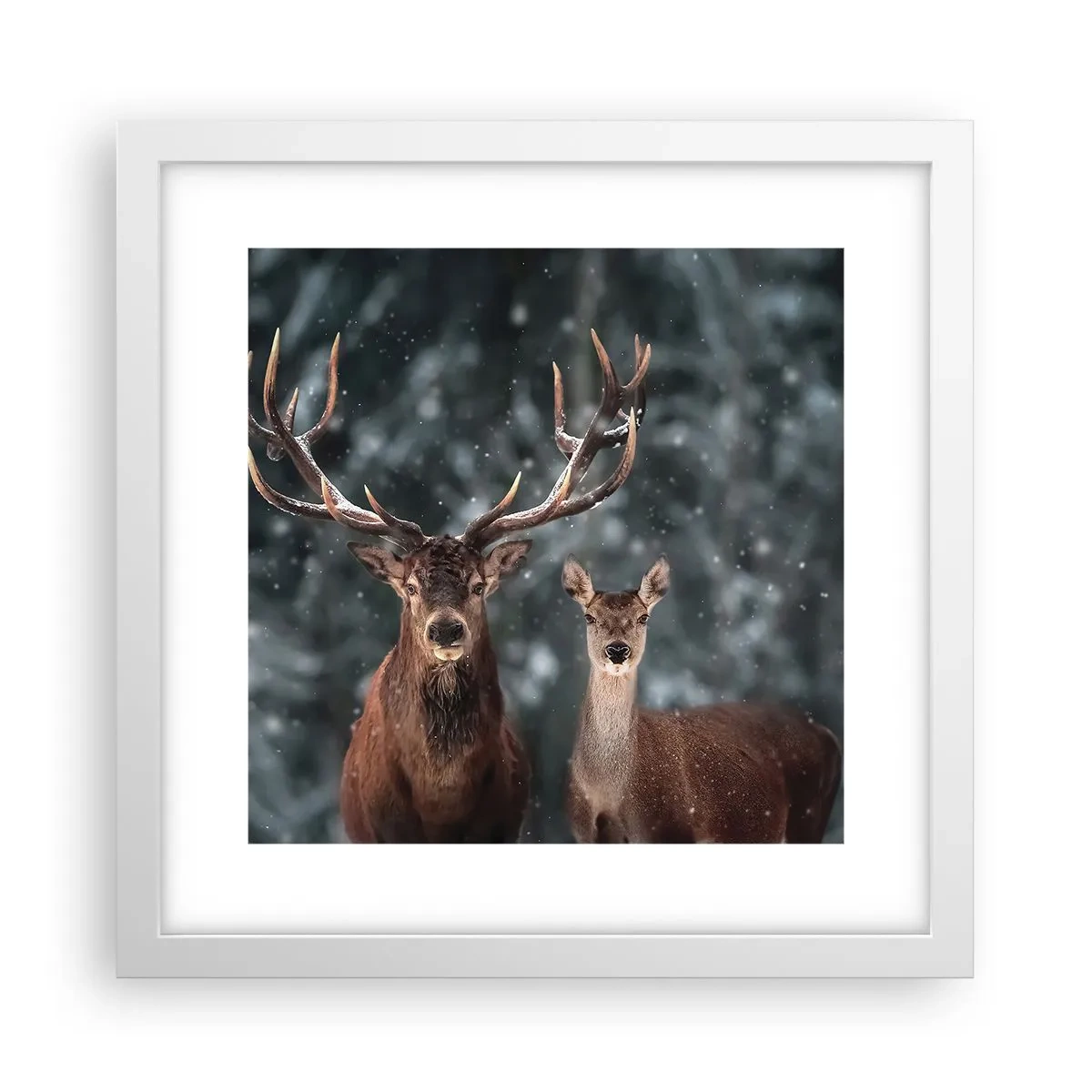 Plakat i hvid ramme - Skovens herre og hans kone - 30x30 cm