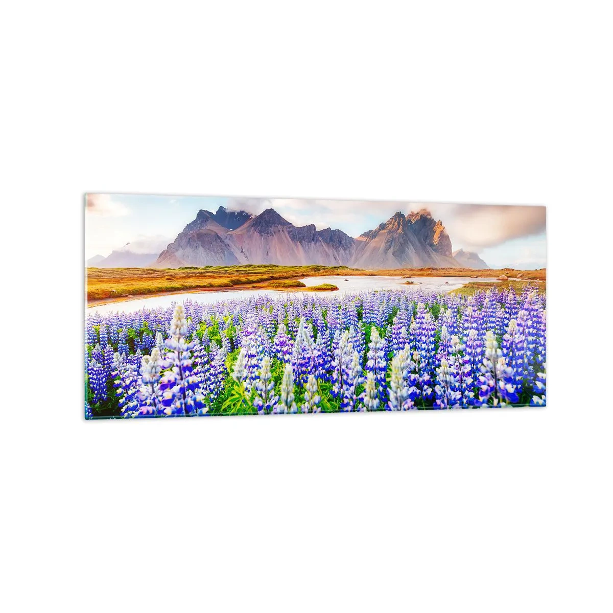 Billede på glas - Styrke og strenghed ved siden af blidhed - 120x50 cm