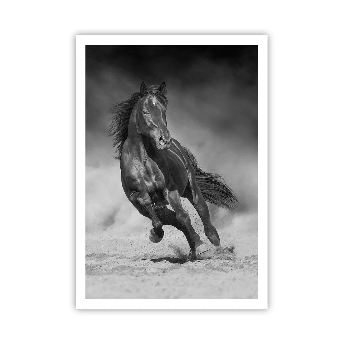 Plakat - Værdig til emiren selv - 70x100 cm