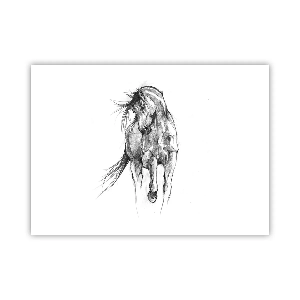 Plakat - I en yndefuld trav - 70x50 cm