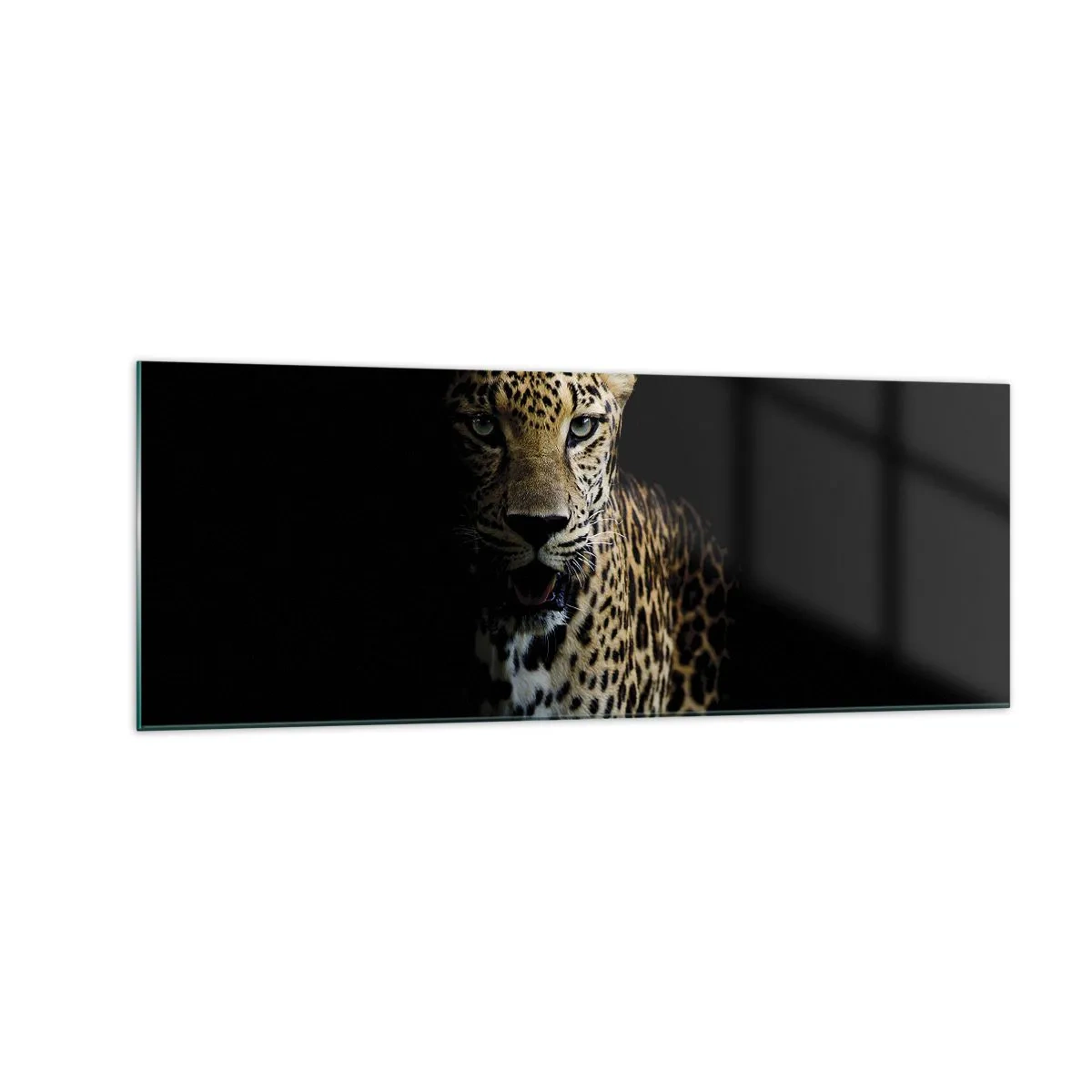 Billede på glas - Mørk skønhed - 140x50 cm