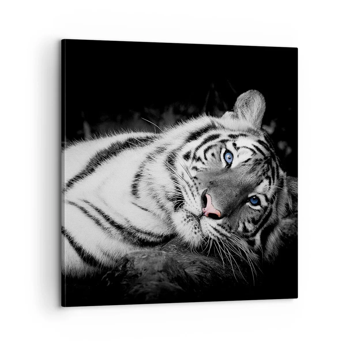 Lærredstryk - Billede på lærred - Vildskab og fred - 60x60 cm