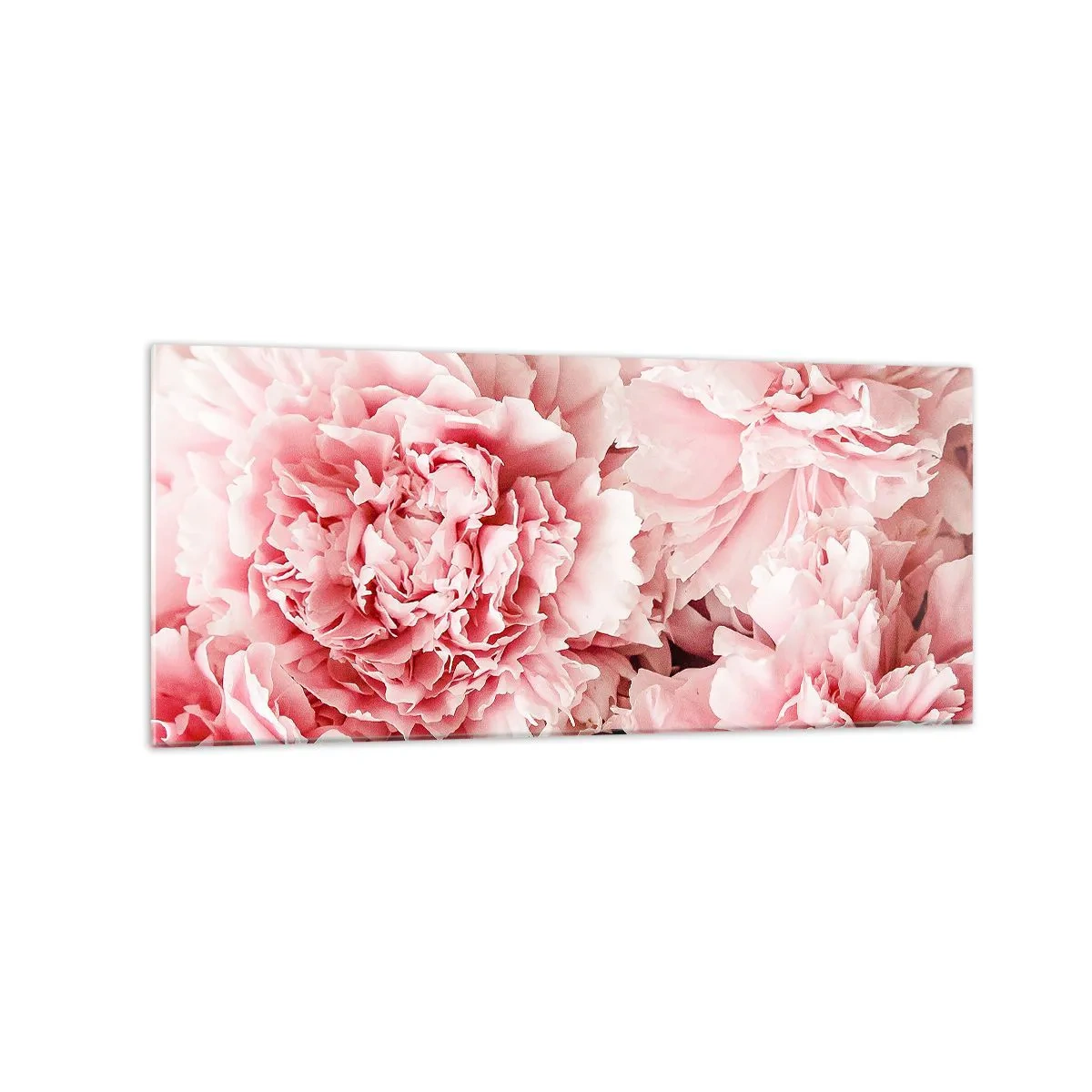 Billede på glas - Lyserød drøm - 120x50 cm