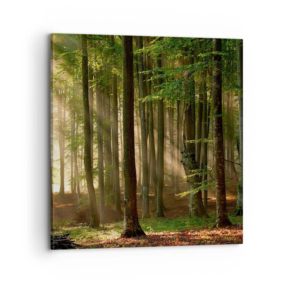 Lærredstryk - Billede på lærred - Strålende på en forårsmorgen - 70x70 cm