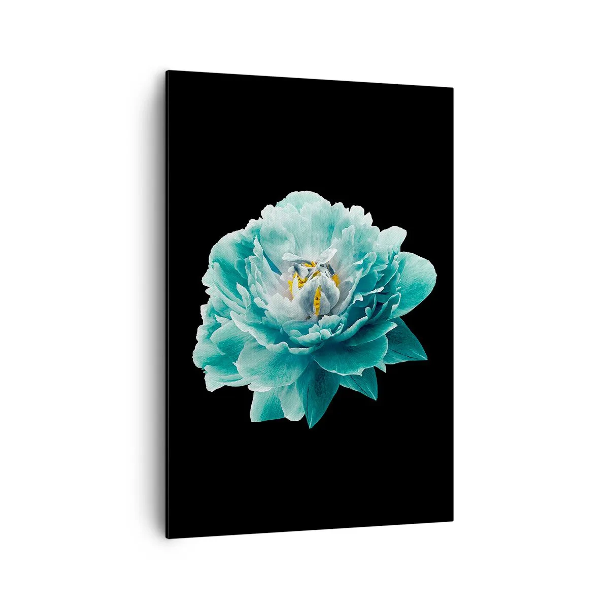 Lærredstryk - Billede på lærred - Blå og gyldne kronblade - 70x100 cm