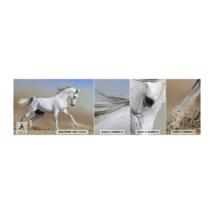 Prøve Fototapet Selvklæbende Deluxe Sticker - Den smukkeste arabiske fortælling - Hest, Dyr, Galop - 100x30 cm