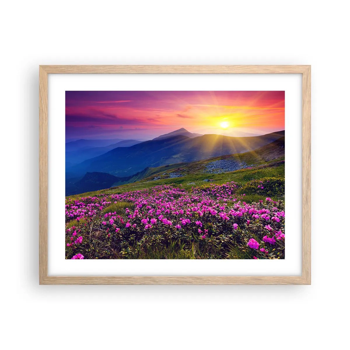 Plakat i ramme af lyst egetræ - ... Og rundt omkring dufter det af fyrretræer og krydderurter - 50x40 cm