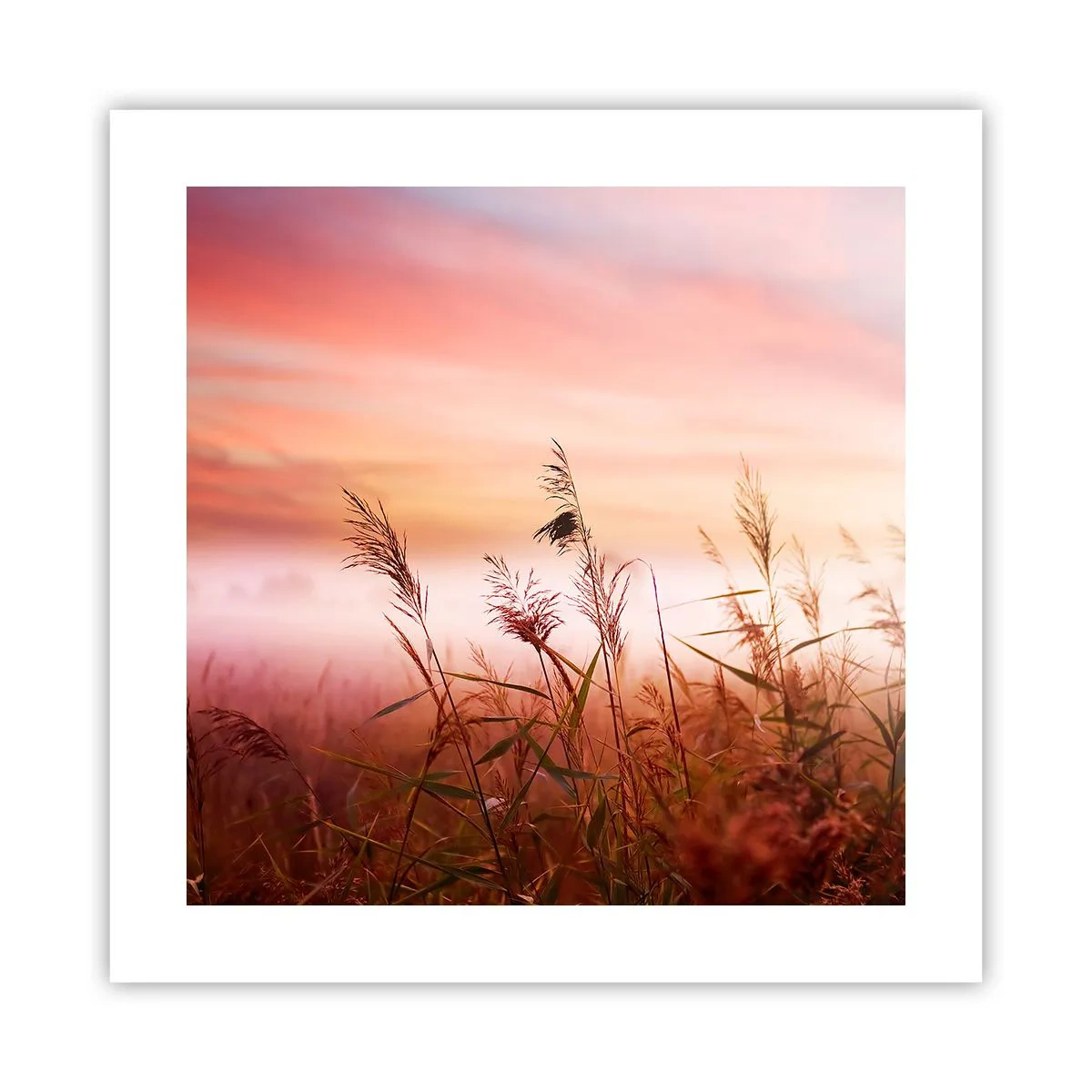 Plakat - Drager, blæsere, vind - 40x40 cm