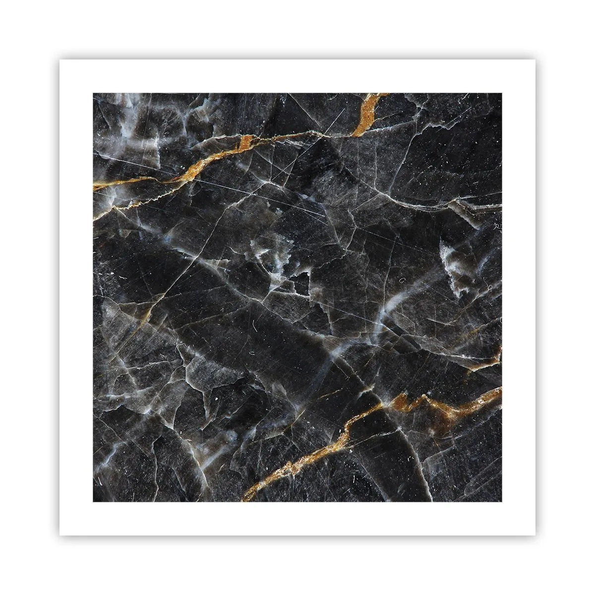 Plakat - En stens indre liv - 50x50 cm