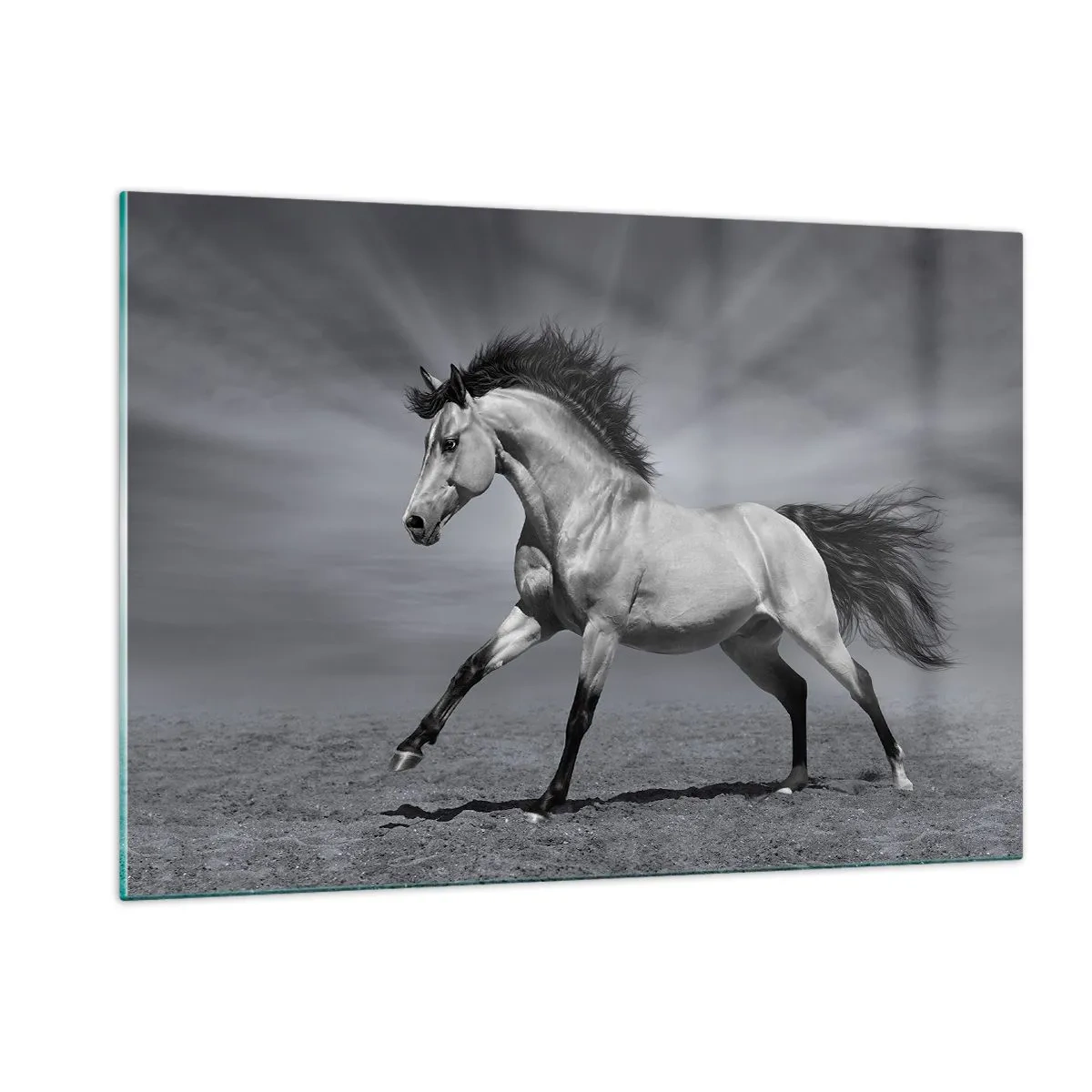 Billede på glas - Født til glæde - 120x80 cm