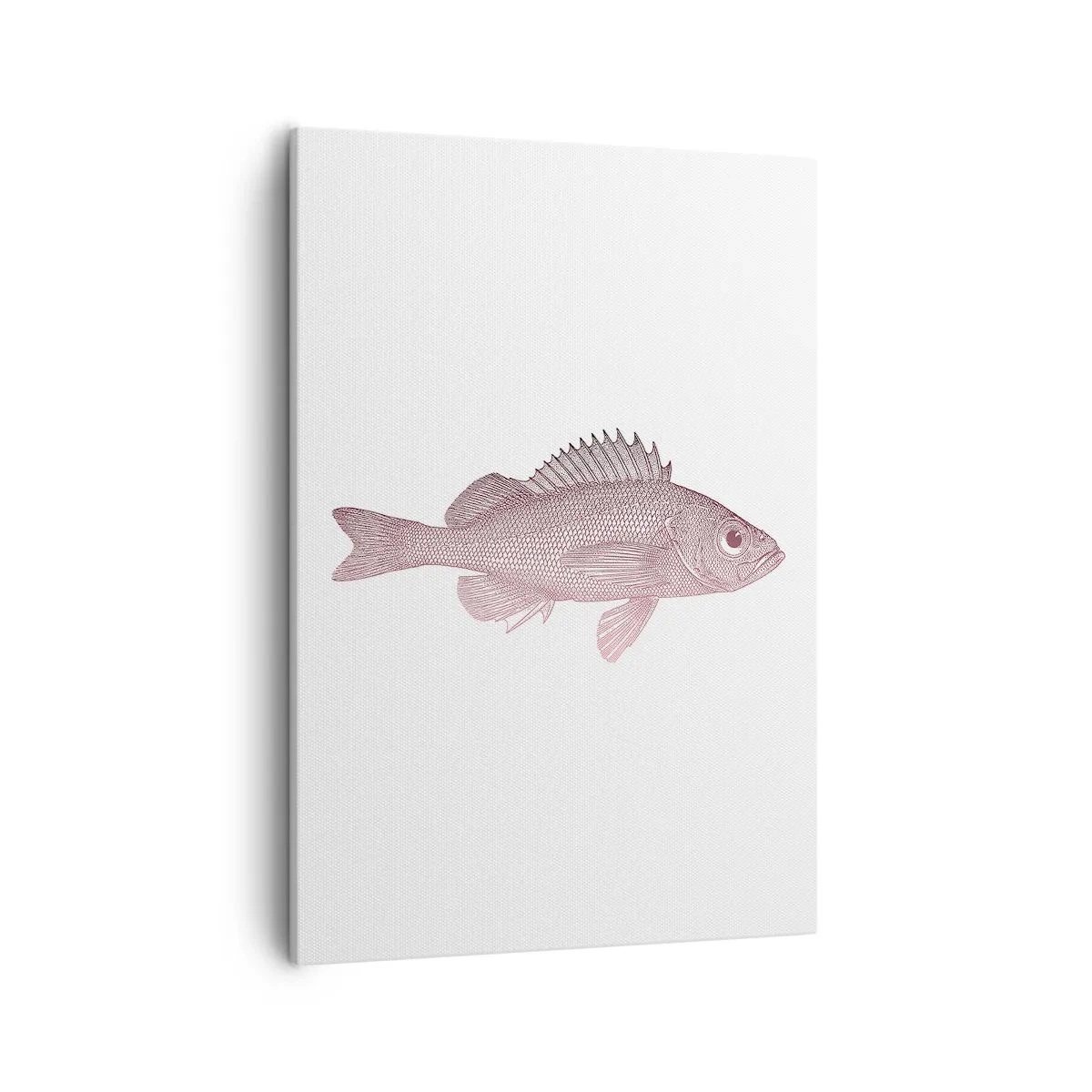 Lærredstryk - Billede på lærred - Fisk med store øjne - 50x70 cm