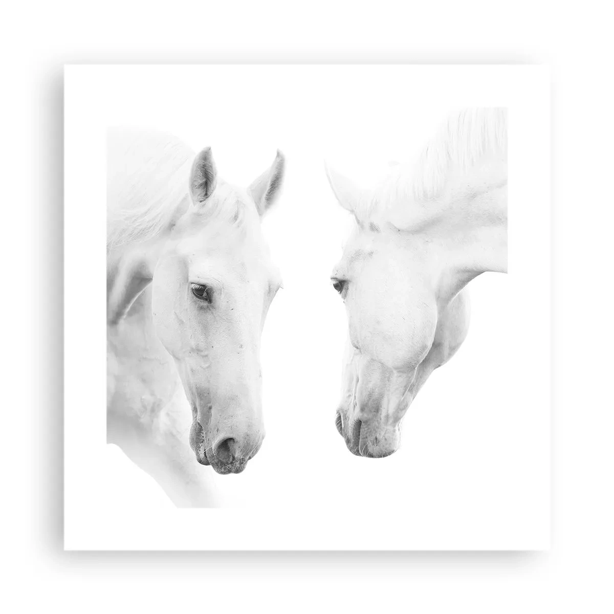 Plakat - Er dette venskab...? - 40x40 cm