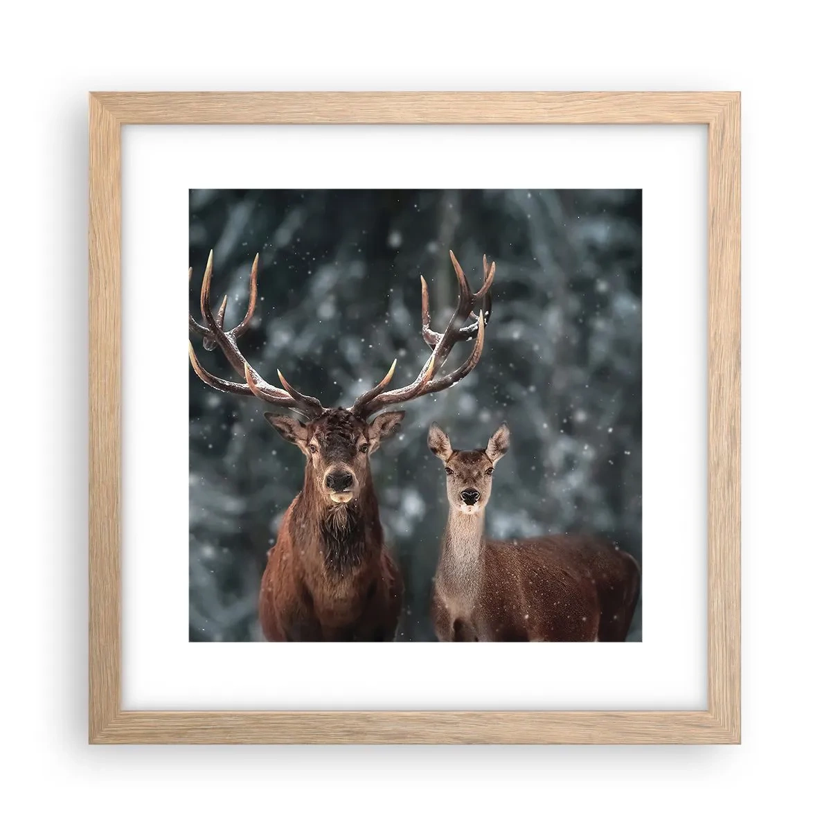 Plakat i ramme af lyst egetræ - Skovens herre og hans kone - 30x30 cm