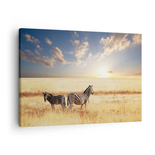 Lærredstryk - Billede på lærred - To zebraer på savannen i den nedgående sols stråler - 70x50cm - Gå væk, forstyrr ikke freden - Moderne vægdekoration til stue og soveværelse ARTTOR