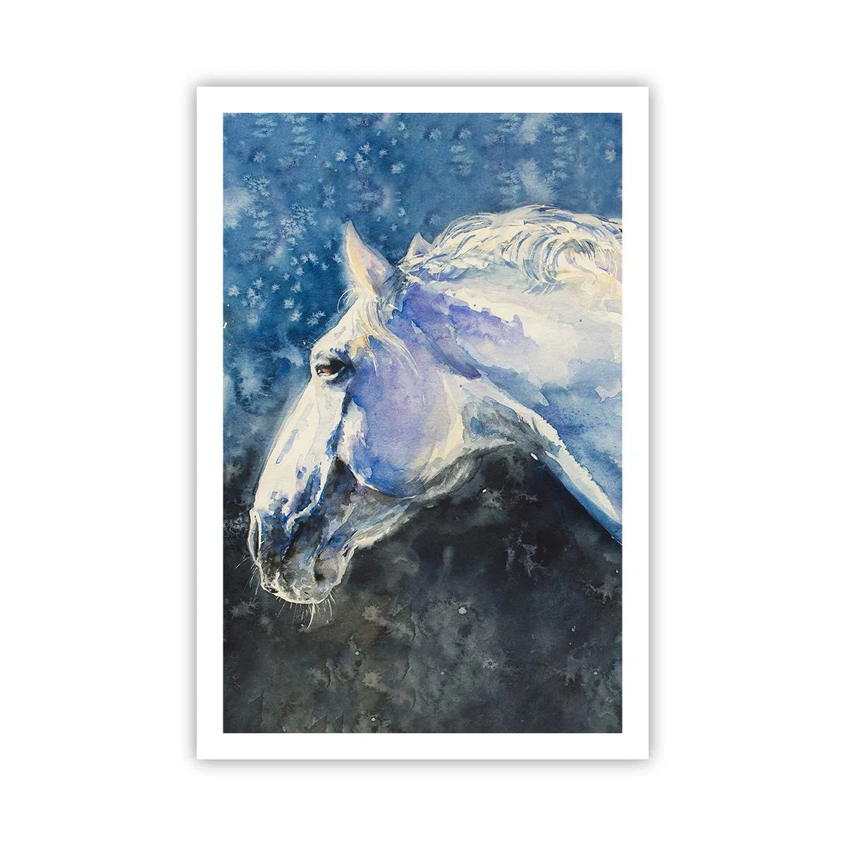 Plakat - Portræt i et blåt skær - 61x91 cm