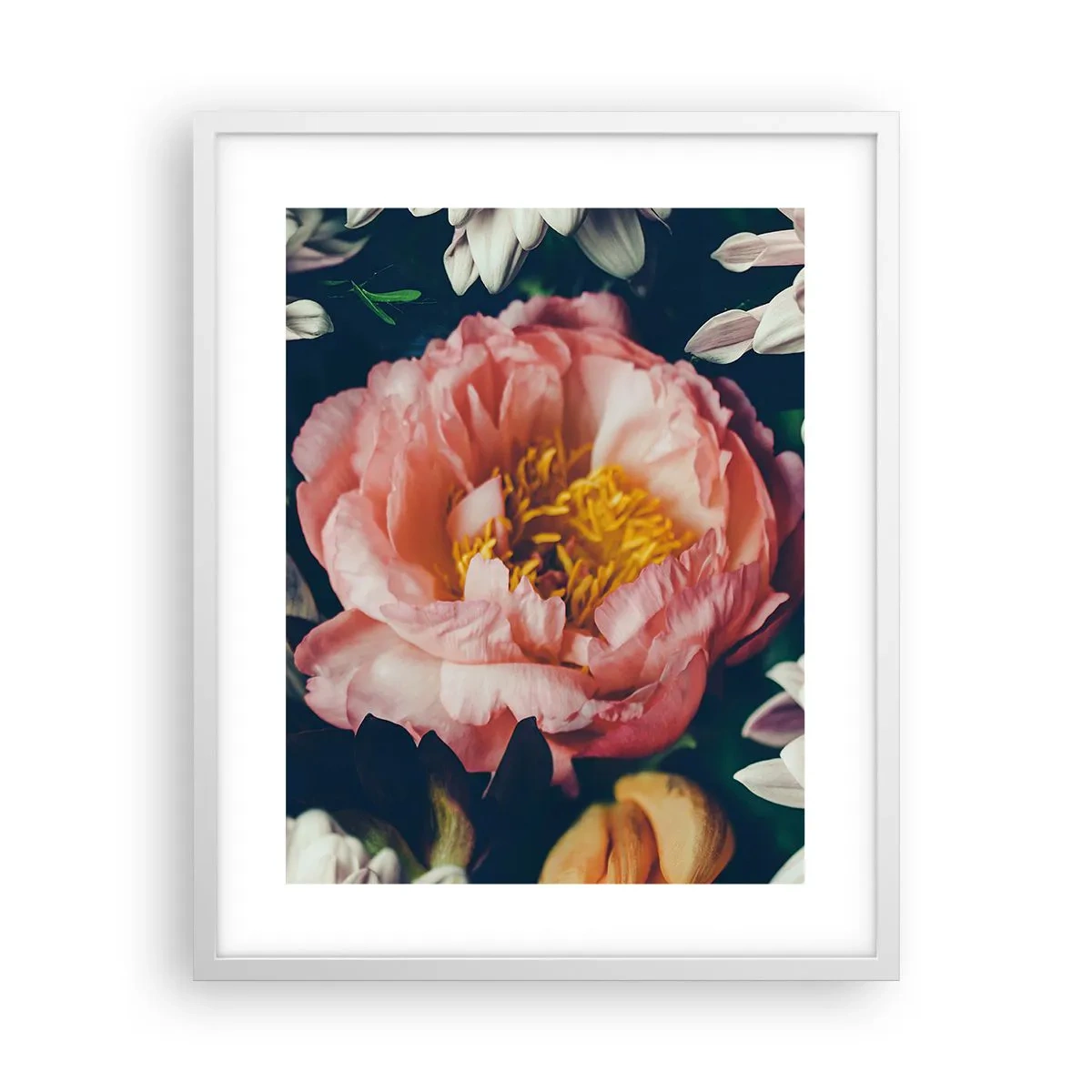 Plakat i hvid ramme - Med barok pragt - 40x50 cm