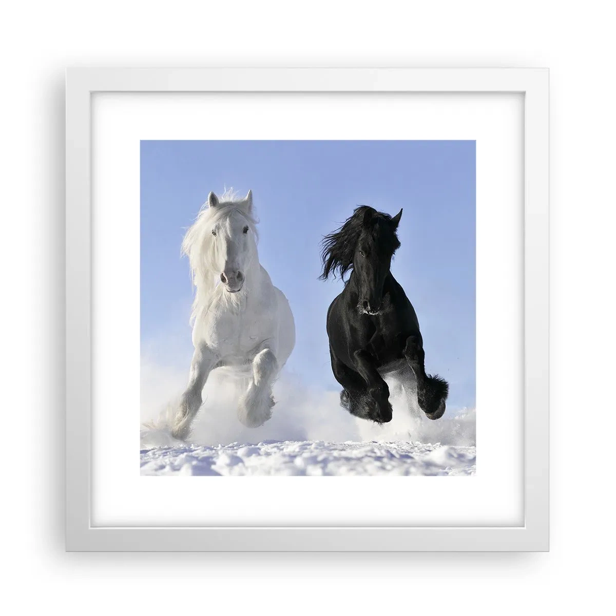Plakat i hvid ramme - Sort og hvid galop - 30x30 cm