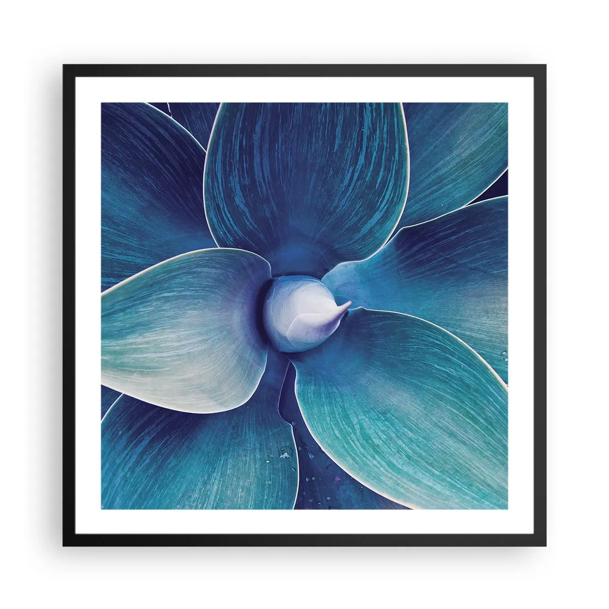 Plakat i sort ramme - Blå fra himlen - 60x60 cm
