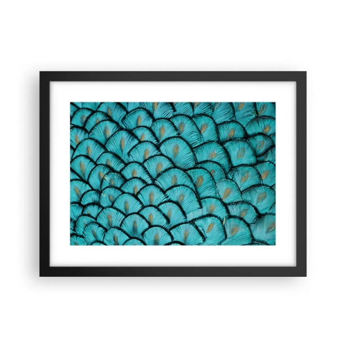 Plakat i sort ramme - Den store fjer-galla - 40x30 cm