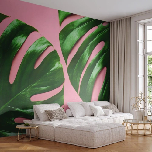 Fototapet Selvklæbende Deluxe Sticker - Grønt rendez-vous - Monstera, Grønt blad, Eksotisk plante - 350x256 cm