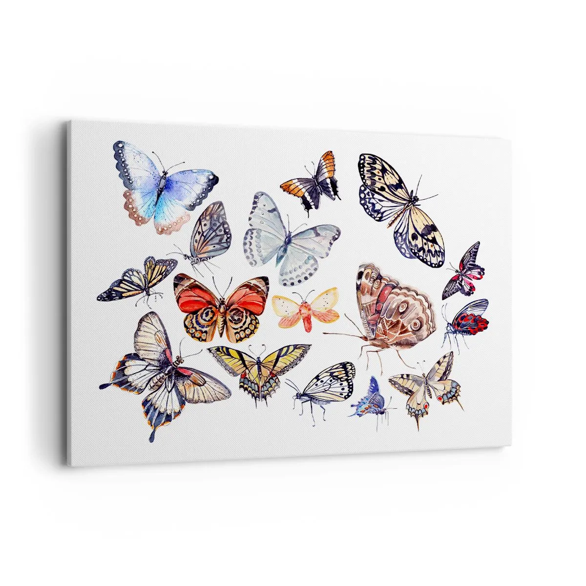 Lærredstryk - Billede på lærred - Blonder, farverig sværm - 100x70 cm