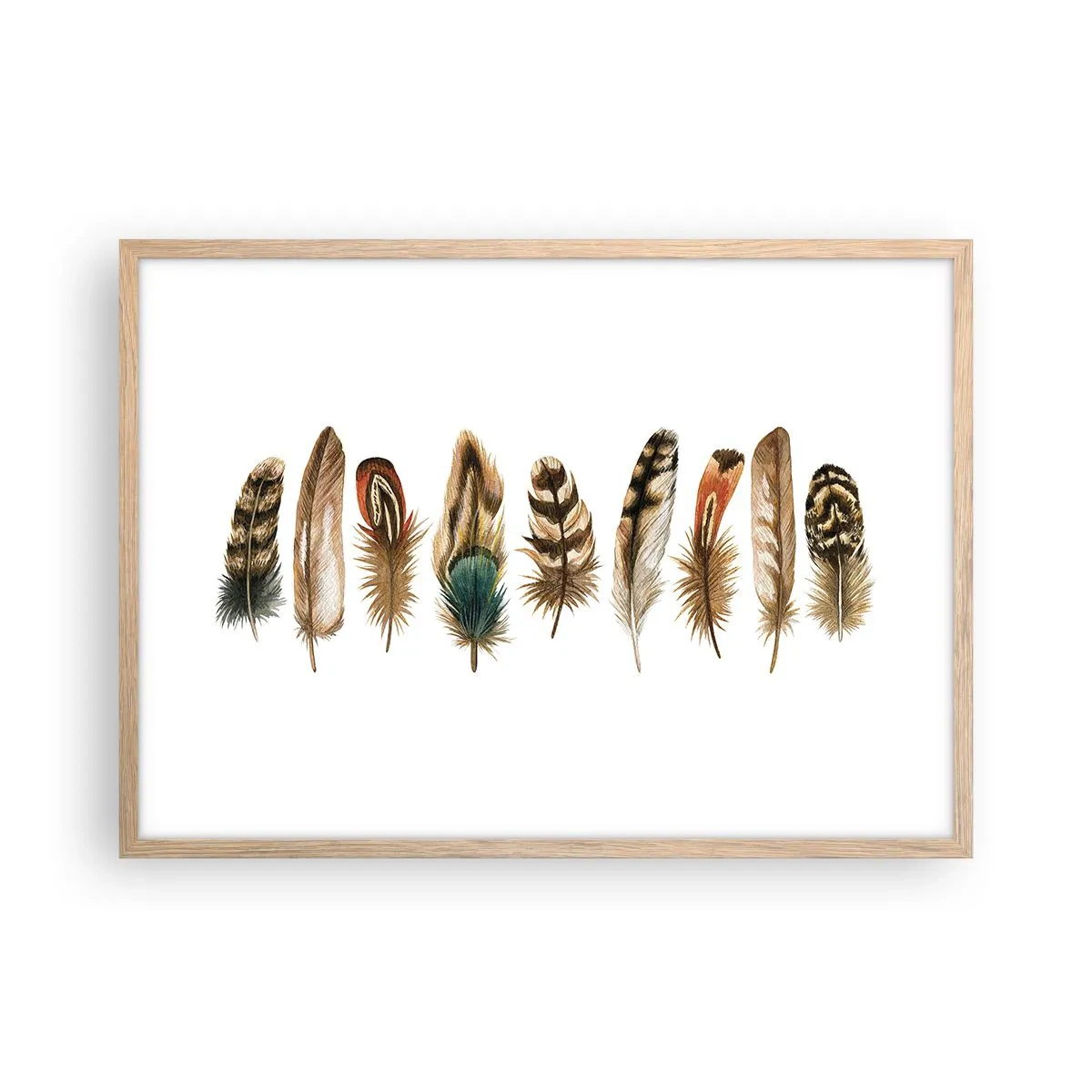 Plakat i ramme af lyst egetræ - Variation med fjer - 70x50 cm