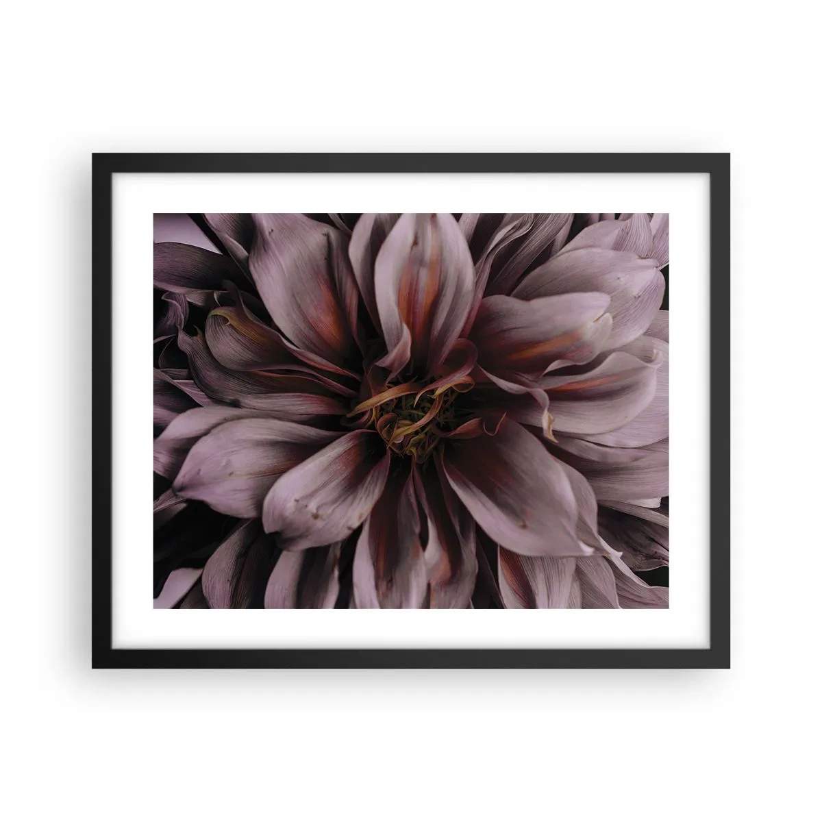 Plakat i sort ramme - Blomstret hjerte - 50x40 cm