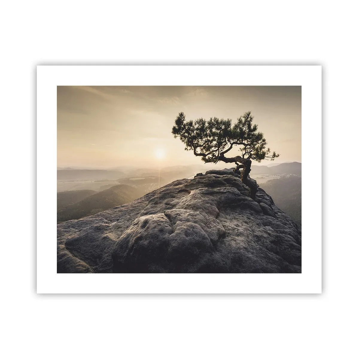 Plakat - Livet vinder altid - 50x40 cm