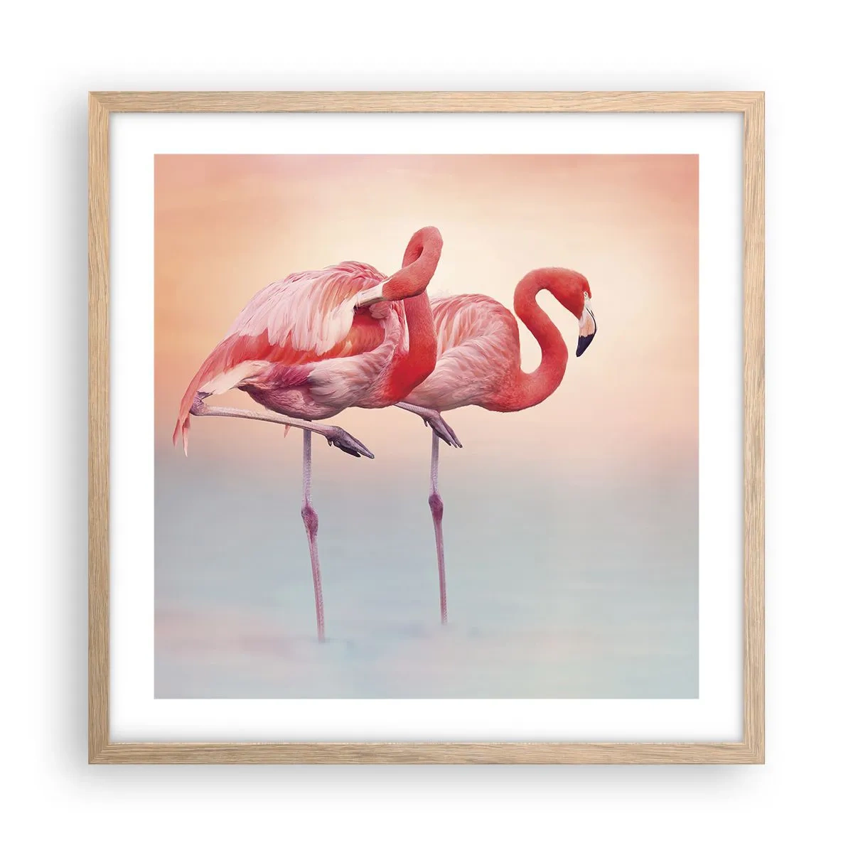 Plakat i ramme af lyst egetræ - I farven af den nedgående sol - 50x50 cm