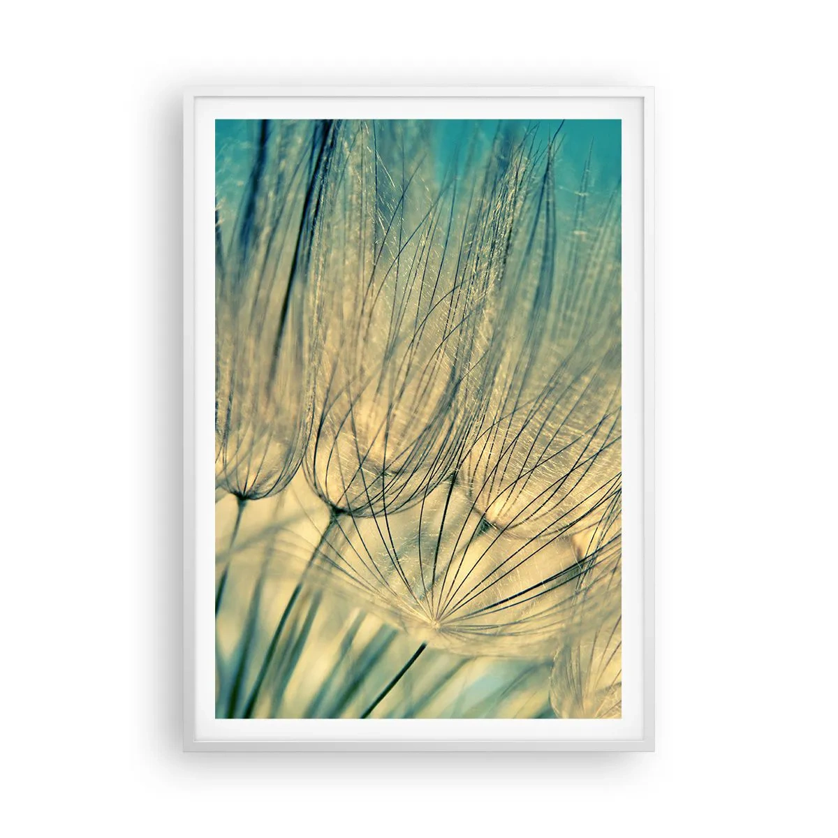 Plakat i hvid ramme - Venter på vinden - 70x100 cm
