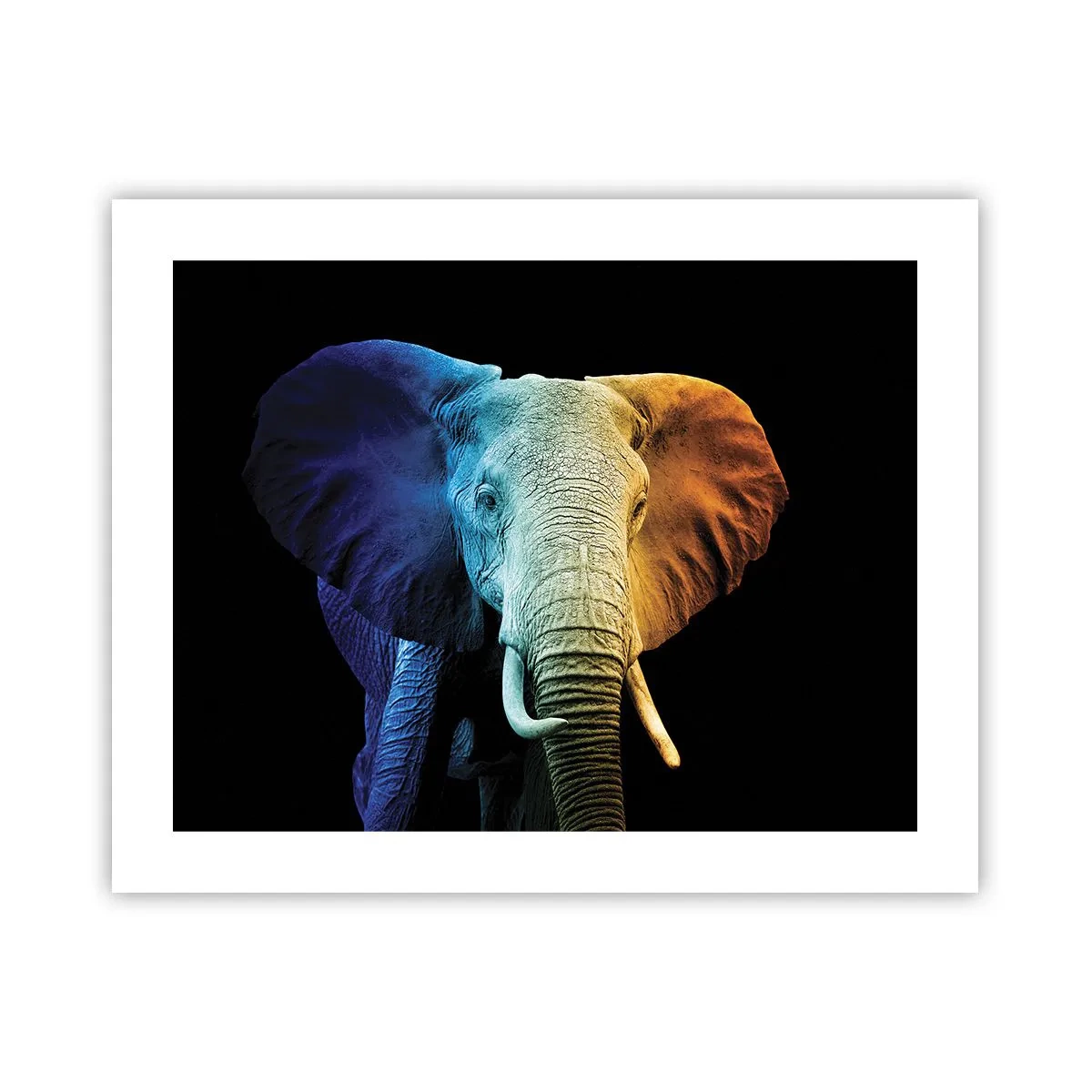 Plakat - Excentrisk, ikke underlig - 50x40 cm