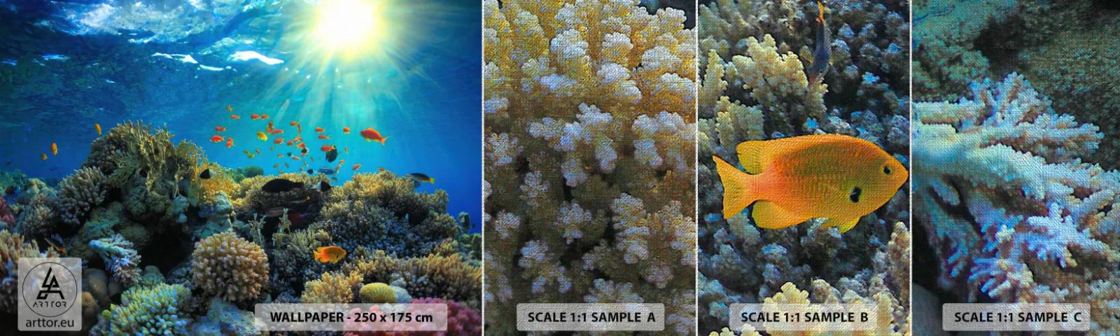 Prøve Fototapet Premium Canvas - Undervandsskatte - koralrev, Ocean, Maritime - 100x30 cm