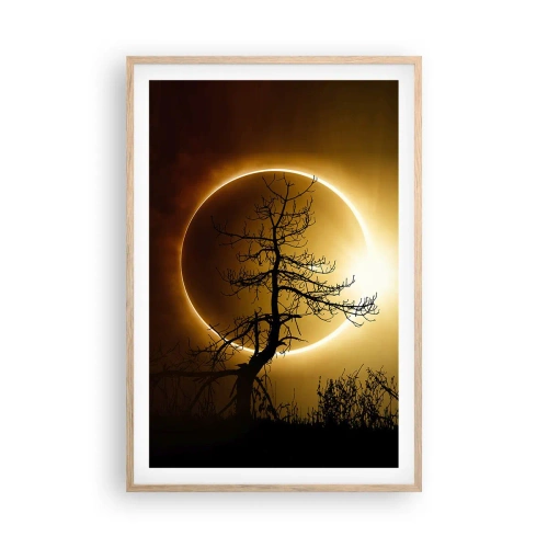 Plakat i ramme af lyst egetræ - Total formørkelse - 61x91 cm