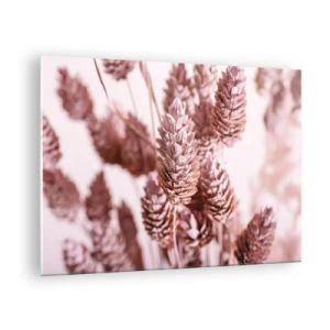 Billede på glas - Tørrede græsører i nuancer af pudderrosa - 70x50cm - Tilsyneladende ubemærket - Moderne vægdekoration til stue og soveværelse ARTTOR
