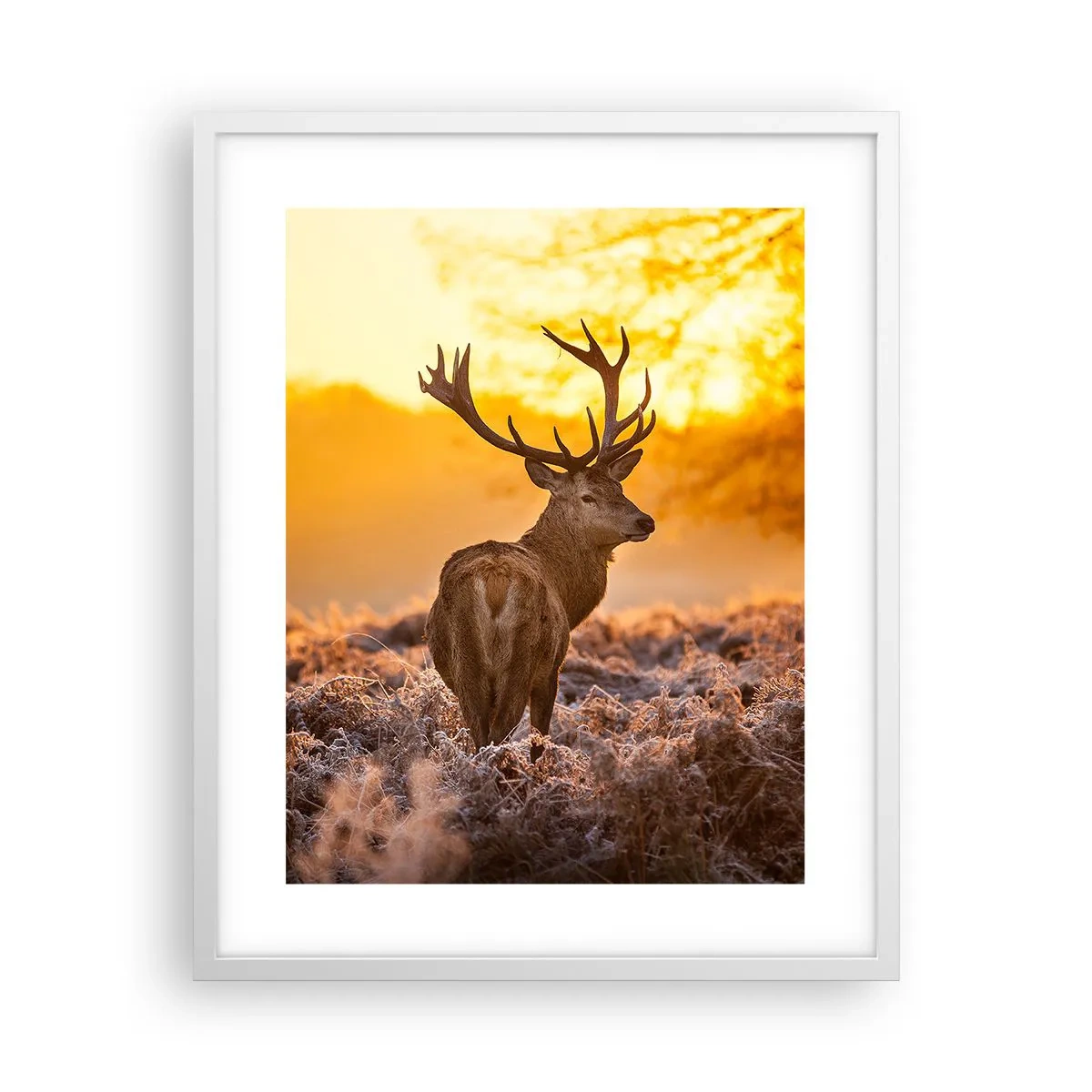 Plakat i hvid ramme - Kongen af efterårsskoven - 40x50 cm