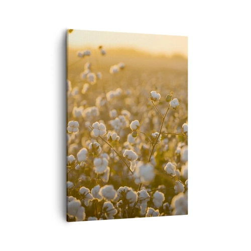 Lærredstryk - Billede på lærred - Et luftigt felt - 50x70 cm