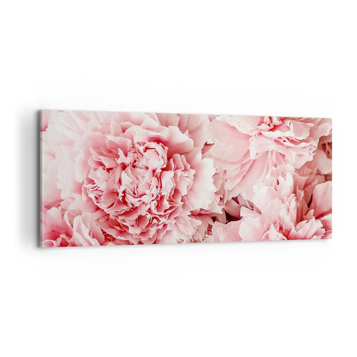 Lærredstryk - Billede på lærred - Lyserød drøm - 100x40 cm