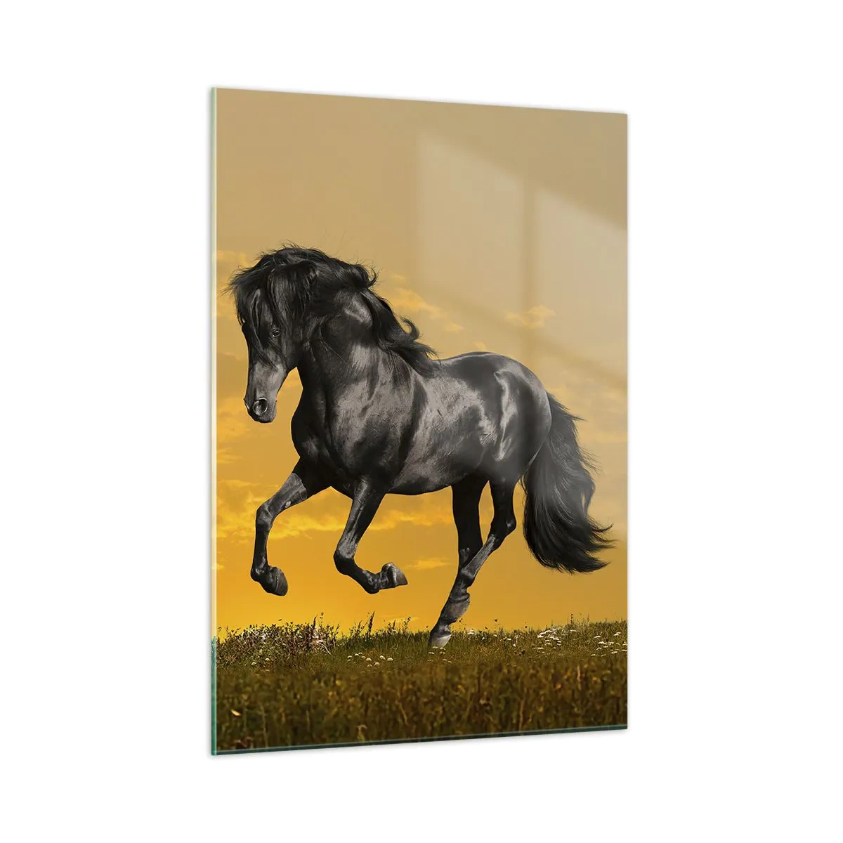 Billede på glas - Smuk, fri og vild - 50x70 cm