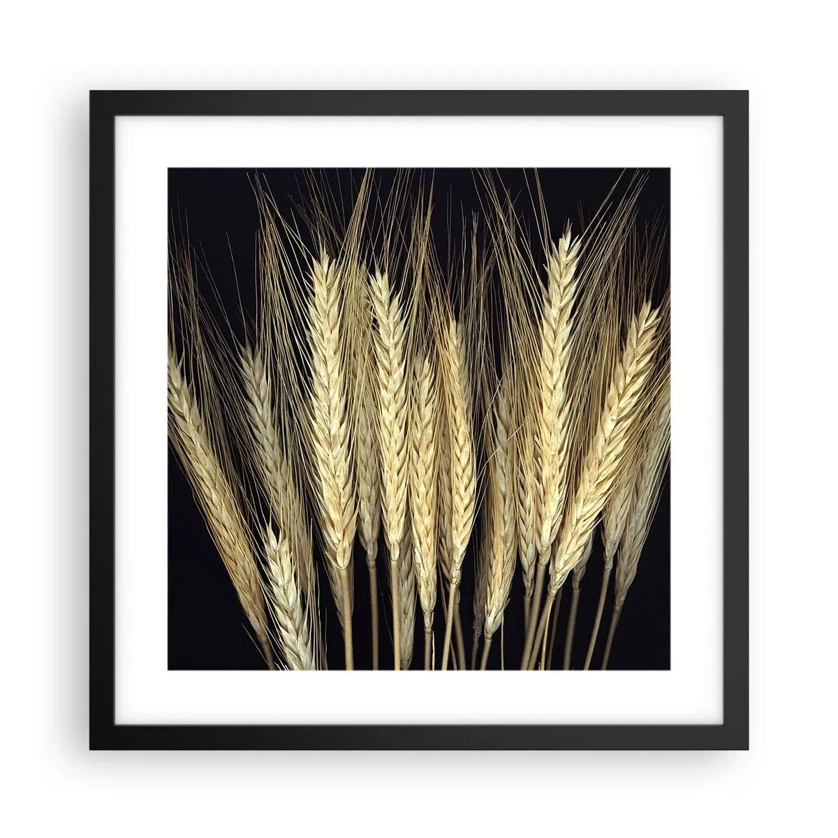 Plakat i sort ramme - Rustik magi - 40x40 cm