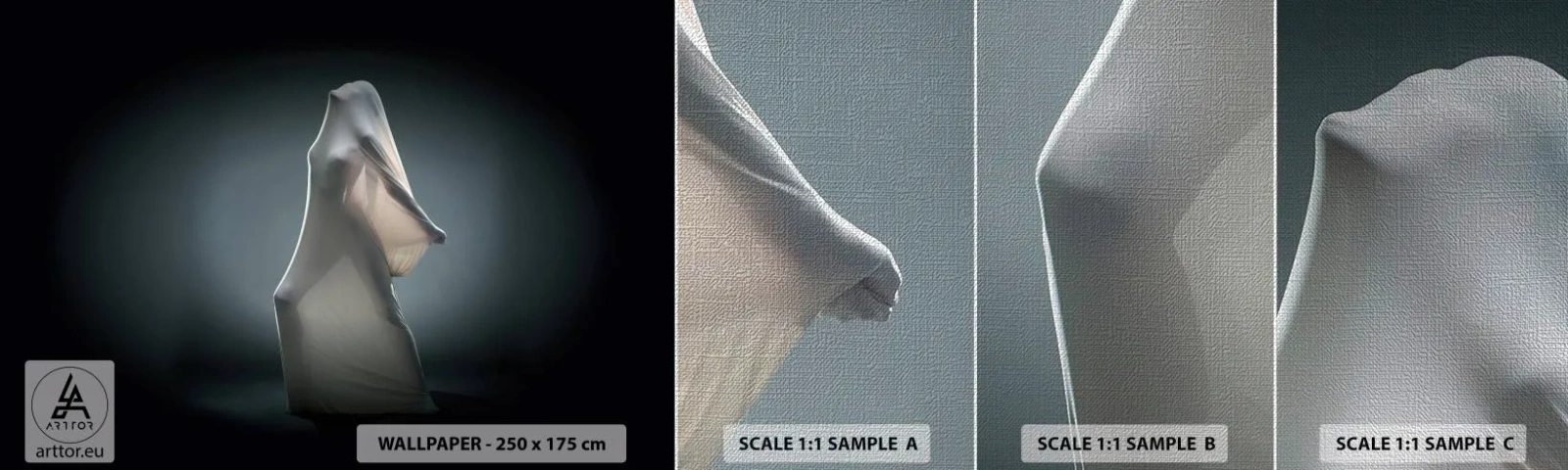 Prøve Fototapet Premium Canvas - Skjulte begær - Kvinde, Dans, Stykke - 100x30 cm