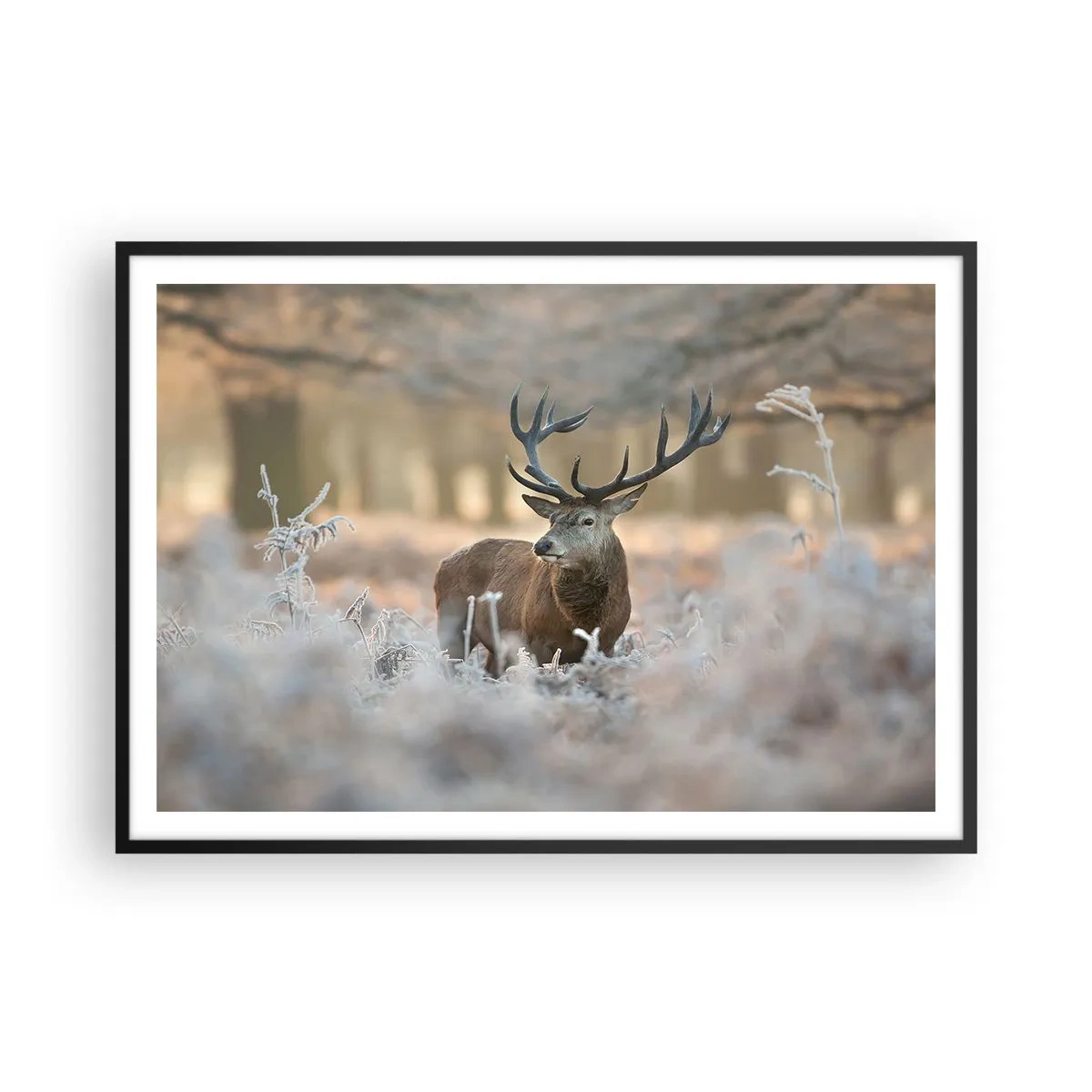 Plakat i sort ramme - En frisk morgen - 100x70 cm