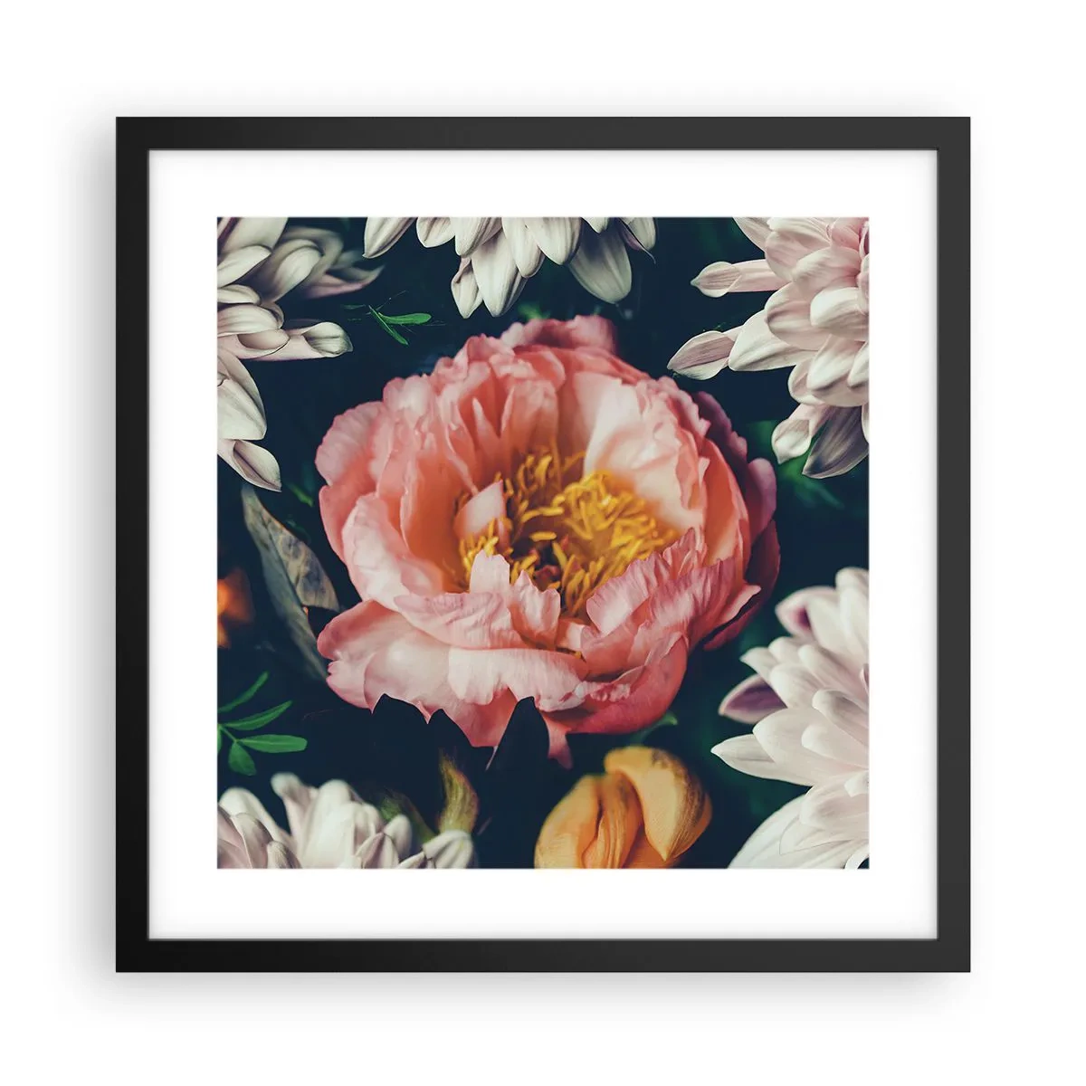 Plakat i sort ramme - Med barok pragt - 40x40 cm