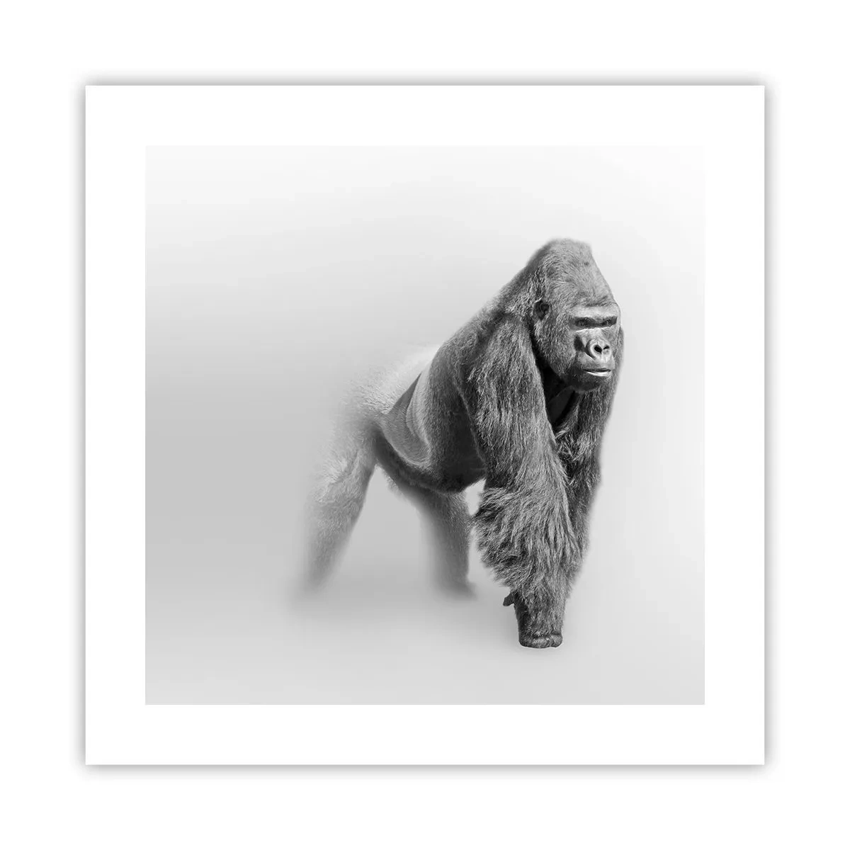 Plakat - Selvsikker på sin styrke - 40x40 cm