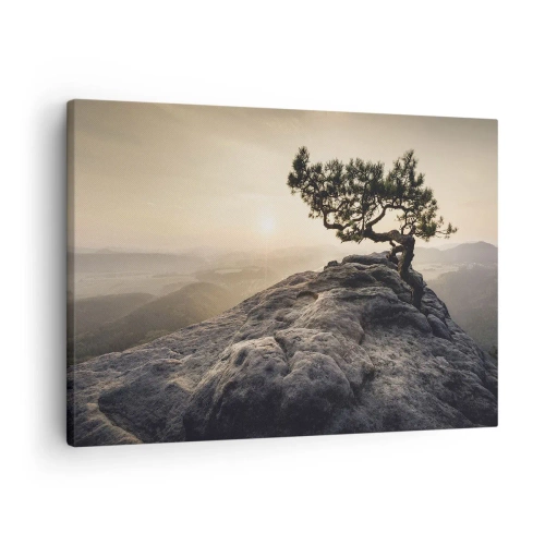 Lærredstryk - Billede på lærred - Et ensomt træ på en klippetop i sollyset - 70x50cm - Livet vinder altid - Moderne vægdekoration til stue og soveværelse ARTTOR